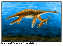 Plesiosaur Rendering